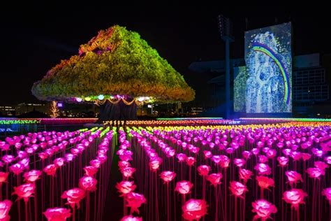 tokyo mega illumination|初開催！都内で楽しめる関東最大級イルミネーション「TOKYO .